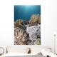 Hiding Eel in Reef Komodo National Wall Decal