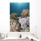 Hiding Eel in Reef Komodo National Wall Decal