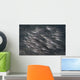 Striped Catfish North Sulawesi Wall Decal
