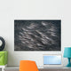Striped Catfish North Sulawesi Wall Decal