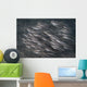 Striped Catfish North Sulawesi Wall Decal