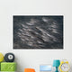 Striped Catfish North Sulawesi Wall Decal