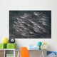 Striped Catfish North Sulawesi Wall Decal