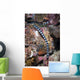 Banded Sea Krait Komodo Wall Decal