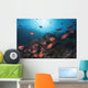Soldierfish Reef Komodo National Park Close-up Wall Decal