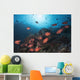 Soldierfish Reef Komodo National Park Close-up Wall Decal