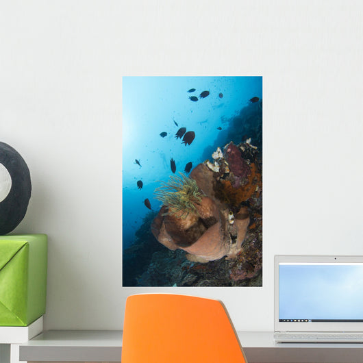 Reef Scene North Sulawesi Wall Decal