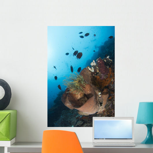 Reef Scene North Sulawesi Wall Decal