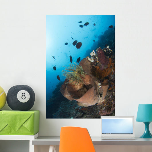 Reef Scene North Sulawesi Wall Decal
