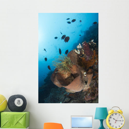 Reef Scene North Sulawesi Wall Decal