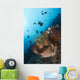 Reef Scene North Sulawesi Wall Decal