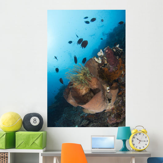 Reef Scene North Sulawesi Wall Decal