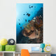 Reef Scene North Sulawesi Wall Decal
