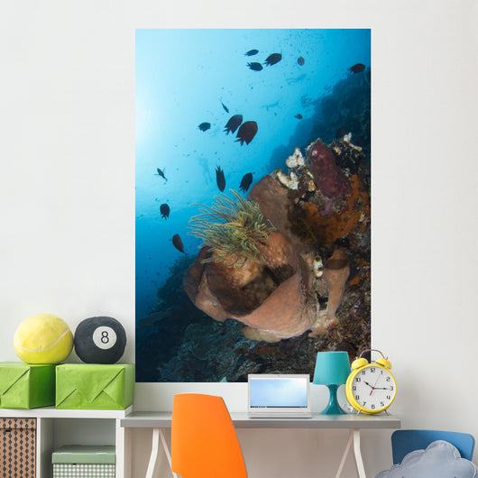 Reef Scene North Sulawesi Wall Decal
