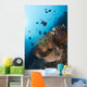 Reef Scene North Sulawesi Wall Decal