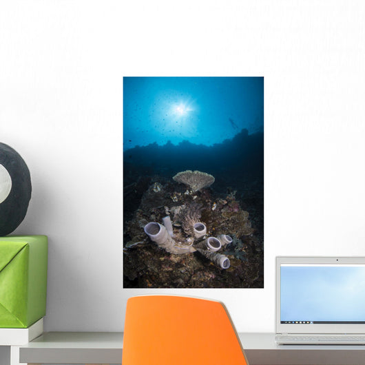 Reef Scene North Sulawesi Close-up Wall Decal