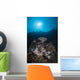 Reef Scene North Sulawesi Close-up Wall Decal