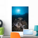 Reef Scene North Sulawesi Close-up Wall Decal