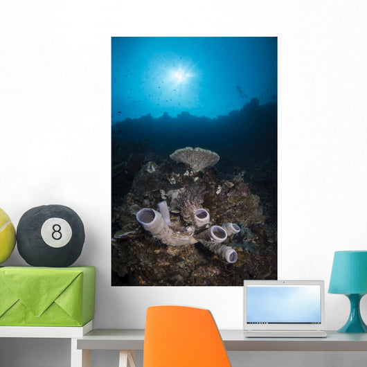 Reef Scene North Sulawesi Close-up Wall Decal
