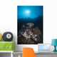 Reef Scene North Sulawesi Close-up Wall Decal