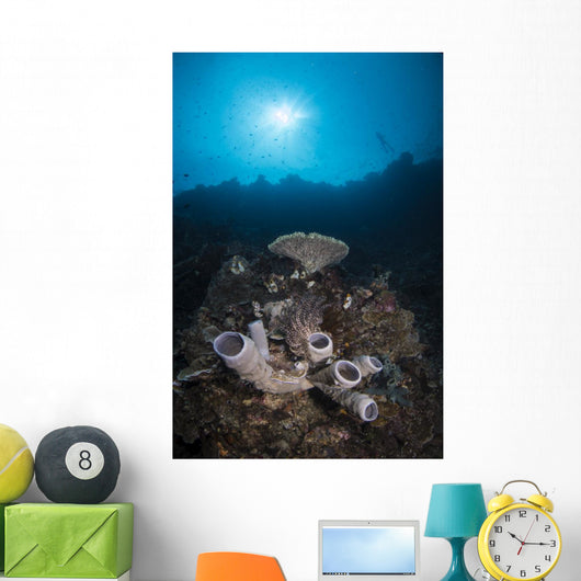 Reef Scene North Sulawesi Close-up Wall Decal
