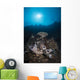 Reef Scene North Sulawesi Close-up Wall Decal