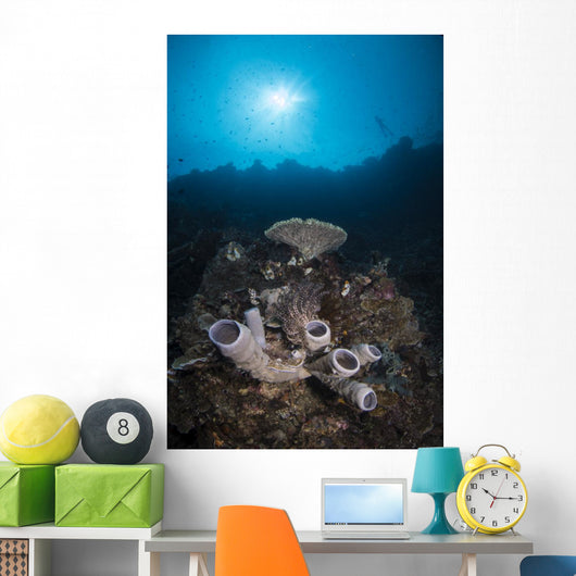 Reef Scene North Sulawesi Close-up Wall Decal