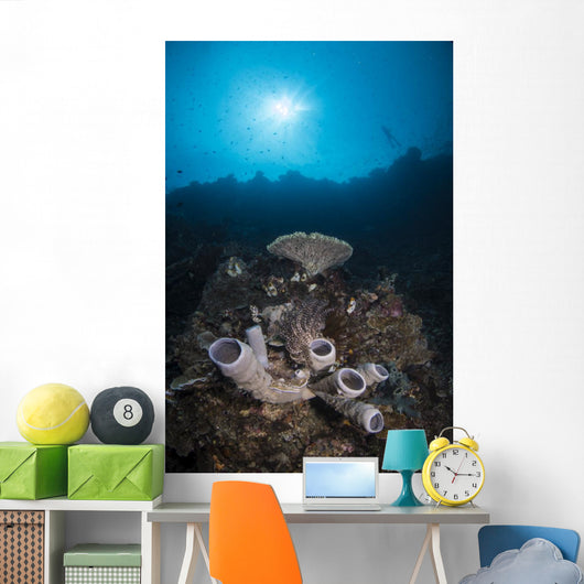 Reef Scene North Sulawesi Close-up Wall Decal