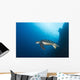 Green Sea Turtle Wall Decal