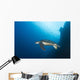 Green Sea Turtle Wall Decal