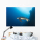 Green Sea Turtle Wall Decal