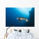 Green Sea Turtle Wall Decal