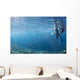 Scuba Divers Reef Komodo Wall Decal