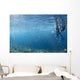 Scuba Divers Reef Komodo Wall Decal