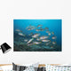 Sweetlips School Komodo National Wall Decal