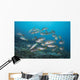 Sweetlips School Komodo National Wall Decal
