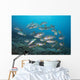 Sweetlips School Komodo National Wall Decal