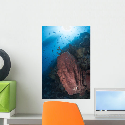 Reef Scene with Barrel Wall Decal