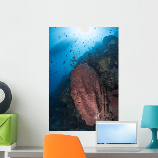 Reef Scene with Barrel Wall Decal