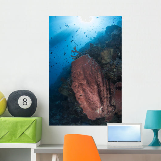 Reef Scene with Barrel Wall Decal