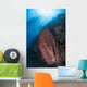 Reef Scene with Barrel Wall Decal