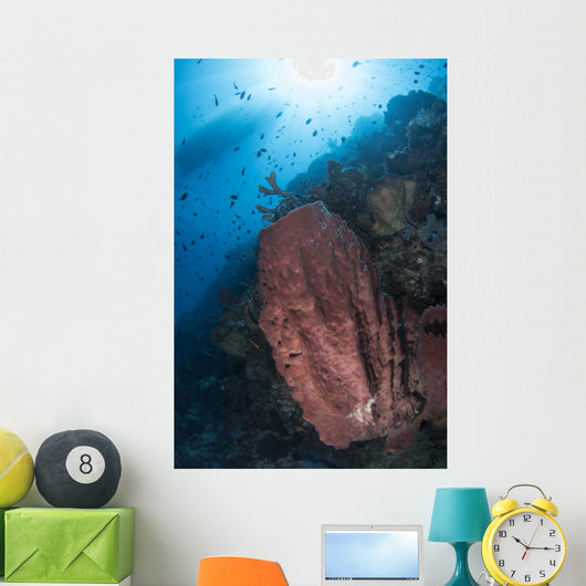 Reef Scene with Barrel Wall Decal