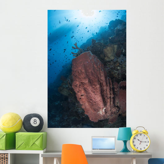 Reef Scene with Barrel Wall Decal
