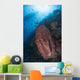 Reef Scene with Barrel Wall Decal