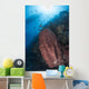 Reef Scene with Barrel Wall Decal
