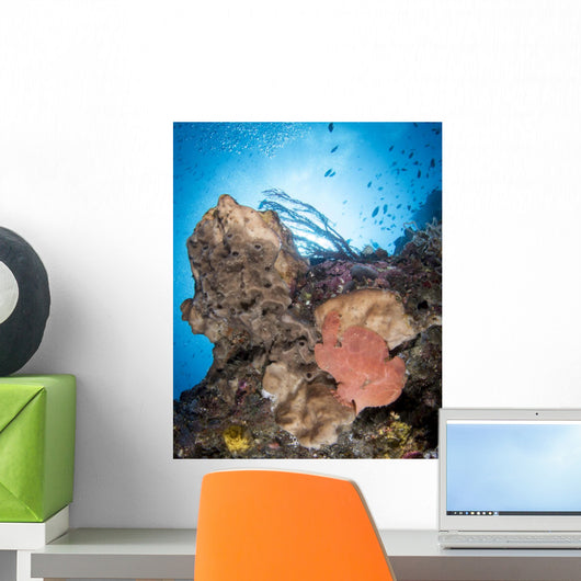 Reef Scene with Frogfish Wall Decal