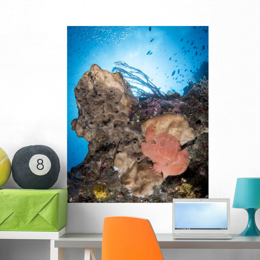 Reef Scene with Frogfish Wall Decal
