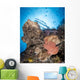 Reef Scene with Frogfish Wall Decal