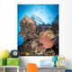Reef Scene with Frogfish Wall Decal