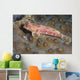 Dragonet North Sulawesi Indonesia Wall Decal